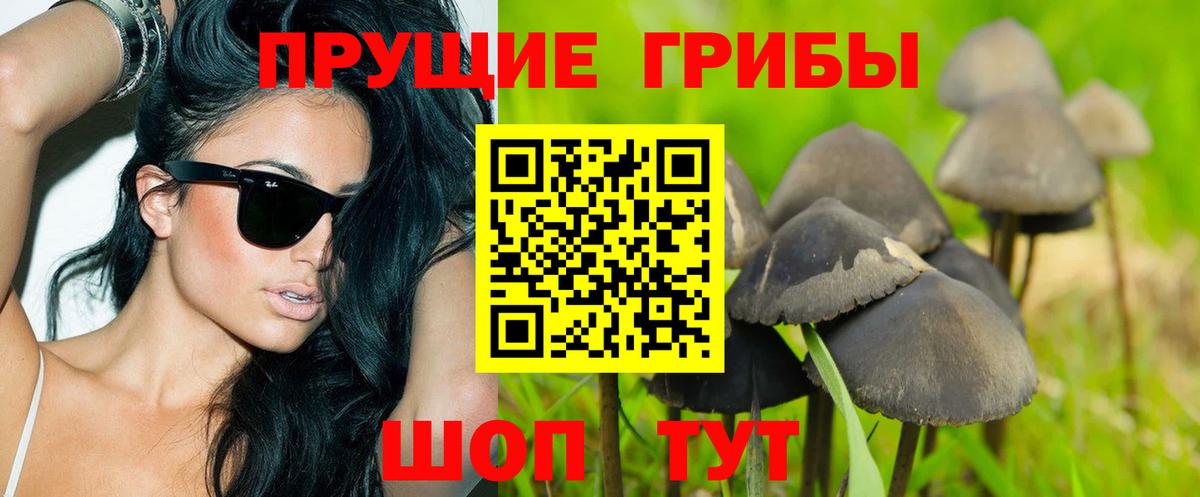 Галлюциногенные грибы мицелий Реутов