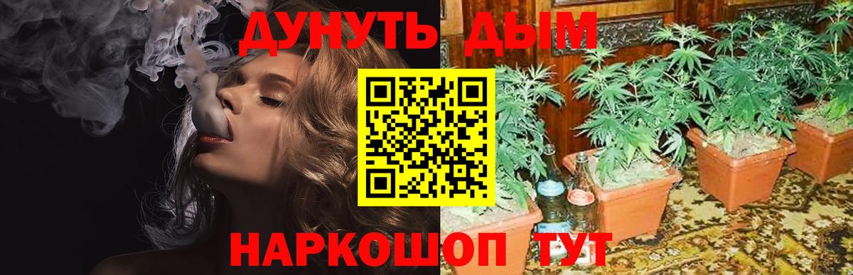 МАРИХУАНА конопля  Шишки марихуана семена  Вход с VPN  Реутов 